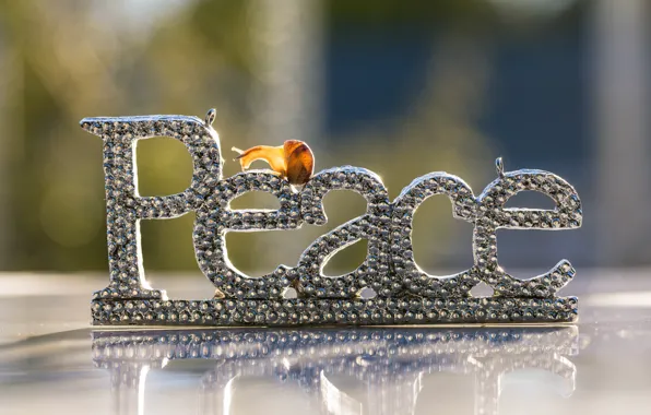 Macro, light, reflection, lights, letters, background, the world, Shine