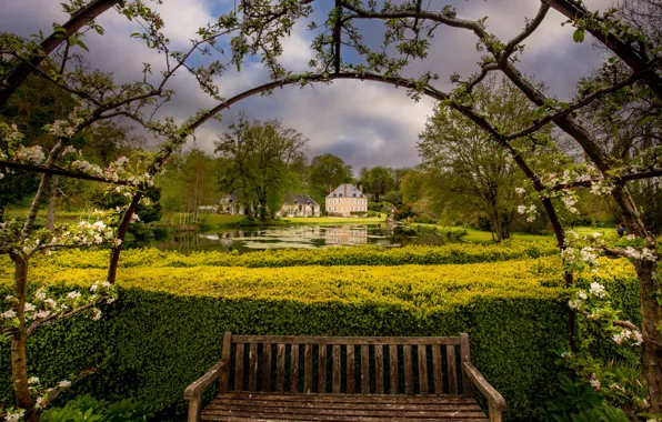 Picture trees, bench, pond, France, building, home, garden, France