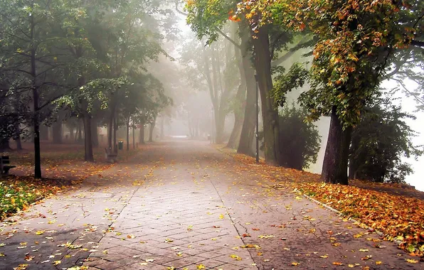 Sadness, autumn, leaves, trees, landscape, fog, Park, alley