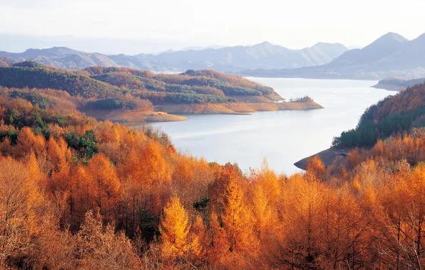 Picture autumn, trees, mountains, river, horizon