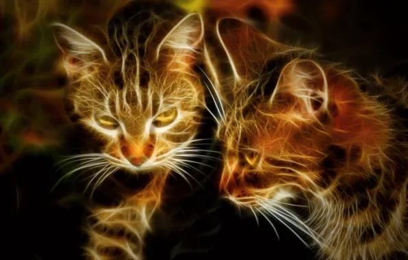Cats, retouching, by Placi1