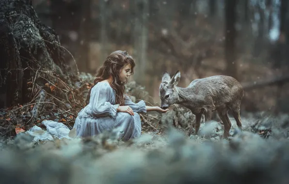 Forest, girl, fawn, baby, ROE