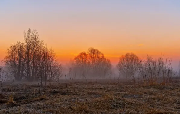 Field, landscape, sunset, fog