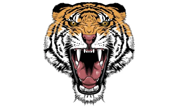 Tiger, minimalism, head, evil, tiger