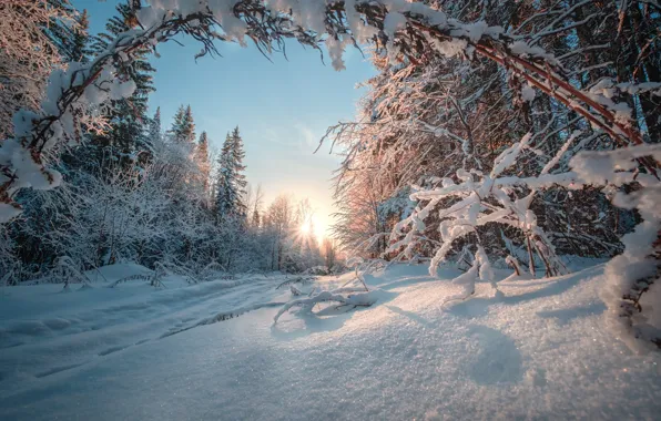 Winter, road, forest, snow, Russia, Ural
