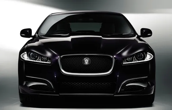 Picture purple, face, dark, purple, Jaguar XF