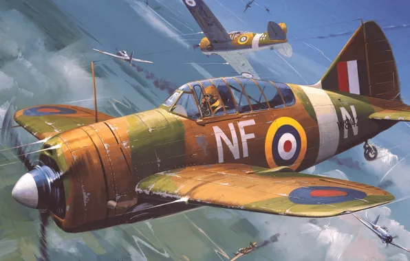 Fighter, New Zealand, USA, Deck, RNZAF, F2A, Roy Huxley, Brewster Buffalo