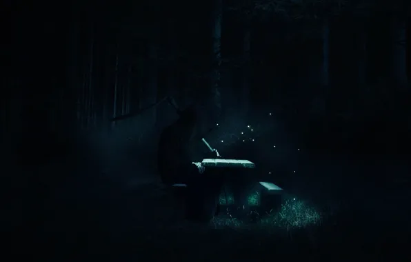 Forest, bench, night, death, fireflies, fiction, stay, braid