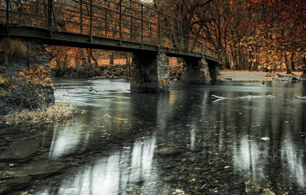 Picture bridge, nature, river