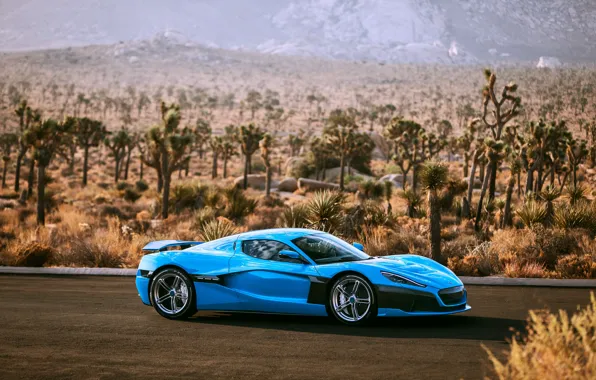 Supercar, 2018, Rimac, electric car, C-Two, California Edition