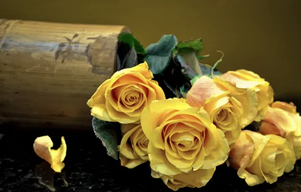 Picture roses, bouquet, petals