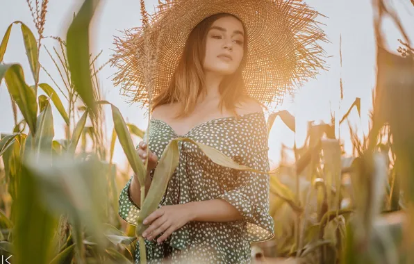 Field, summer, girl, pose, hat, corn, dress, cornfield