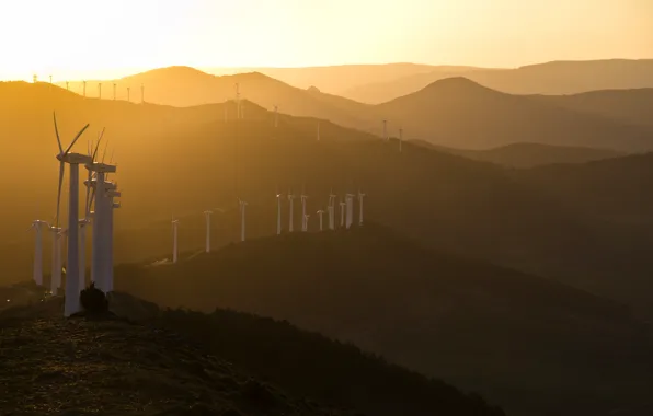 Light, morning, windmills