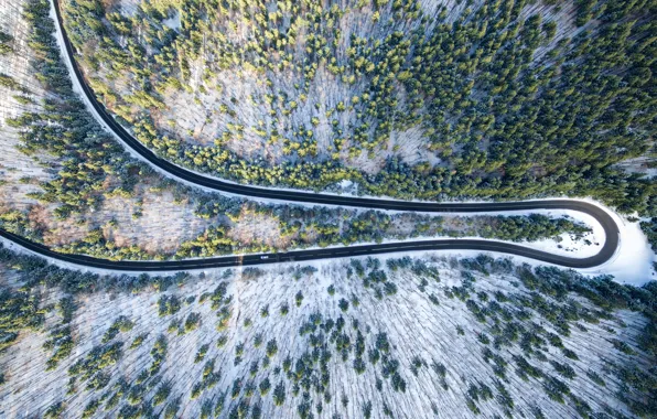 Picture winter, road, machine, forest, snow, trees, the view from the top