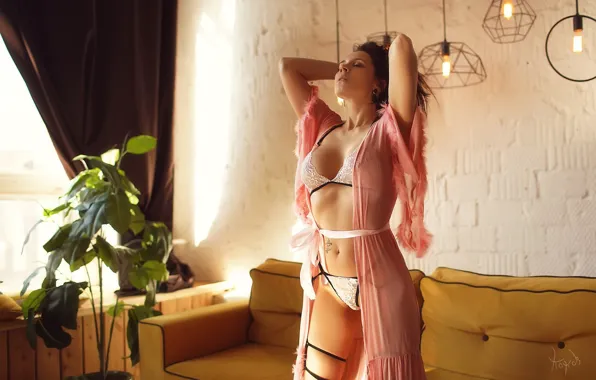 Sexy, pose, lamp, sofa, wall, model, panties, plant