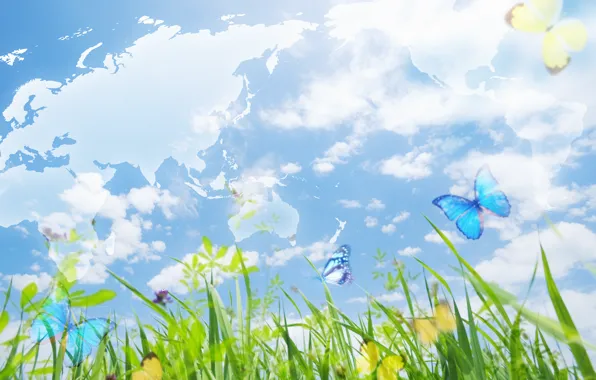 The sky, grass, butterfly, collage, Atlas