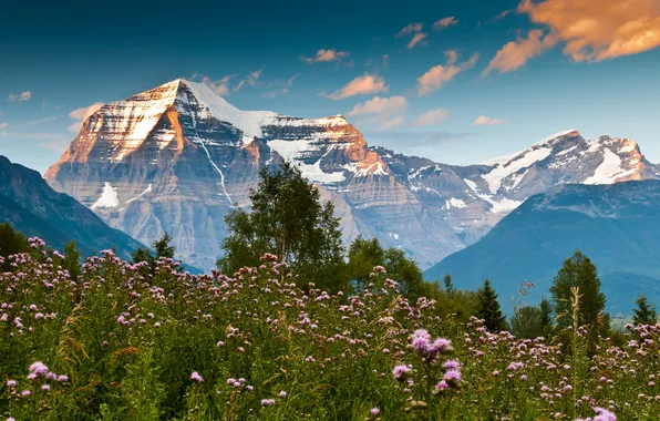 Summer, the sky, mountains, meadow
