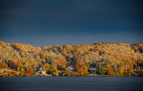 Picture sky, trees, winter, lake, snow, houses, lakeshore