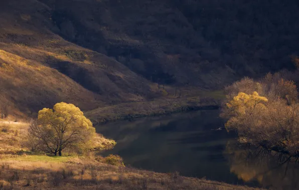 Autumn, trees, landscape, nature, river, hills, the bushes, Bank