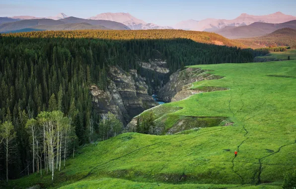 Picture golf, mountains, Evgeny
