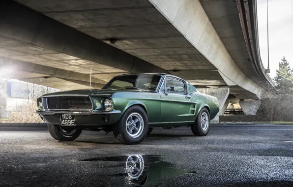 Asphalt, Mustang, Ford, puddles, 1968, GT 390, Bullitt