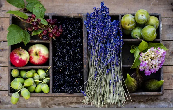 Picture autumn, flowers, berries, basket, apples, fruit, plum, acorns