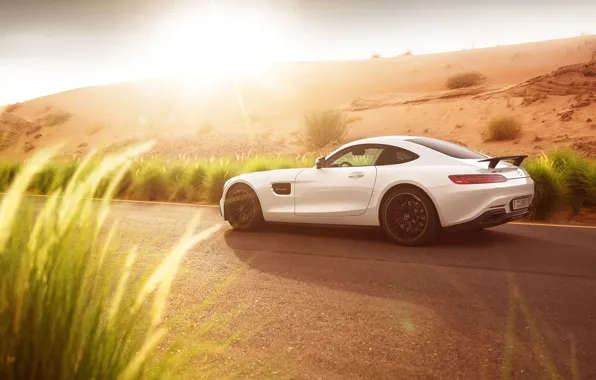 Mercedes-Benz, AMG, GT S