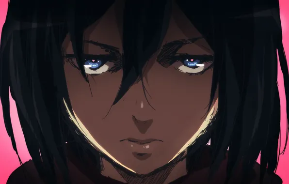 Look, Attack Of The Titans, Shingeki No Kyojin, Mikasa Ackerman