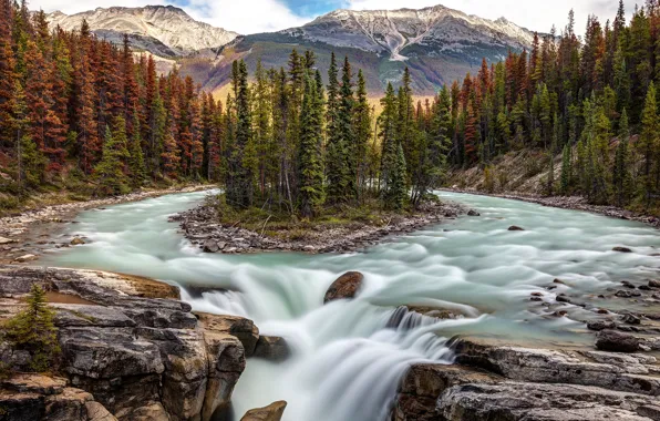 Picture forest, trees, river, waterfall, Canada, Albert, Alberta, Canada