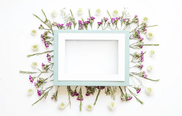 Flowers, frame, petals, flowers, decor, decoration, frame