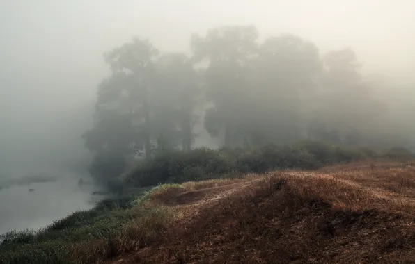 Picture autumn, fog, river, morning