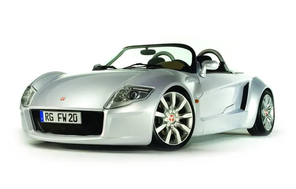 Roadster, yes, Young Engineers Sportscar