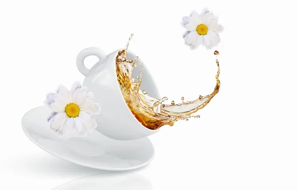 Flowers, squirt, tea, Cup, chrysanthemum, flowers, Cup, tea