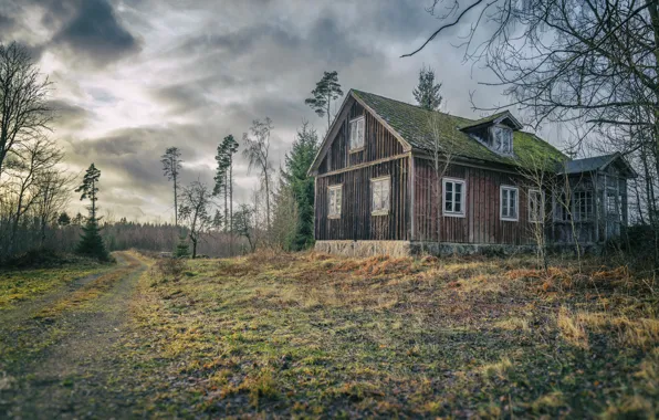 Picture road, nature, home