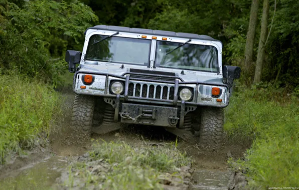 Picture forest, grass, trees, dirt, SUV, track, Hummer