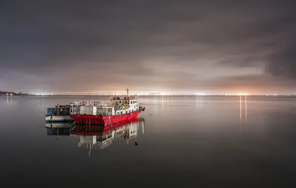 The sky, clouds, light, night, the city, lights, reflection, overcast