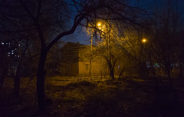 Trees, night, spring, lights, Russia, architecture, March, Artem