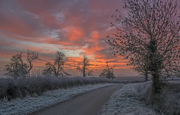 Picture frost, road, landscape, night