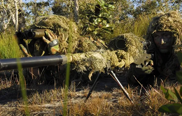 Picture grass, trees, vegetation, soldiers, disguise, equipment, firing position, sniper