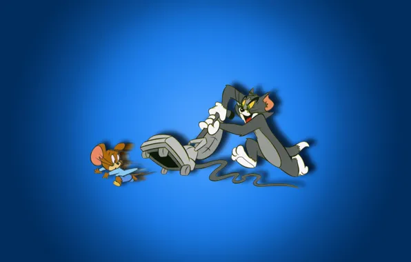 Cat, cartoon, mouse, tom and jerry, Tom and Jerry