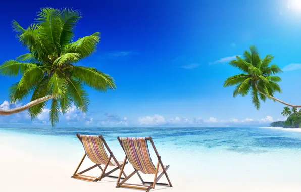 Picture sand, sea, beach, the sun, tropics, palm trees, the ocean, shore