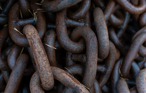 Chain, lies, the grass, rusty