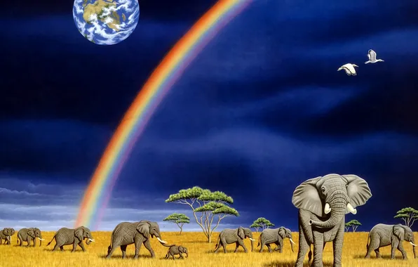 Rainbow, art, Earth, elephants, William Schimmel