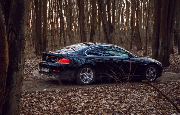BMW, E63, BMW6