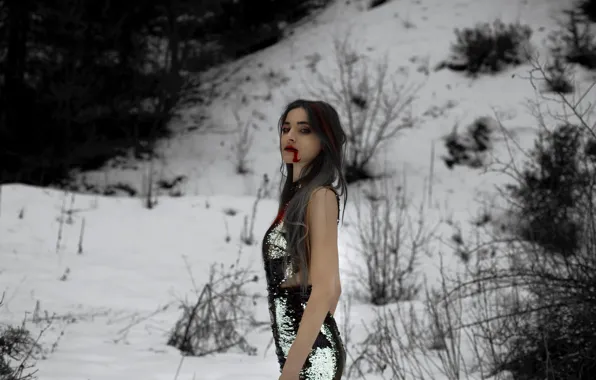 Picture girl, snow, blood, lips, Death reigns over all