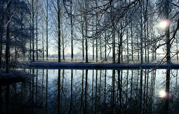 Picture winter, water, the sun, snow, sunset, branches, lake, reflection