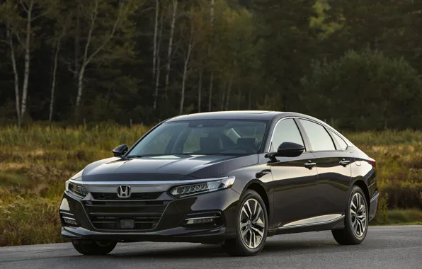 Field, Honda, Accord, sedan, Hybrid, hybrid, 2018, Touring