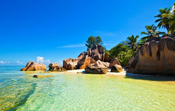 Wallpaper palm trees, tropical island, beach, sea, stones