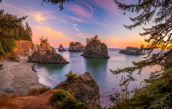 Sea, branches, rocks, shore