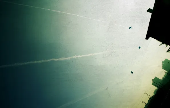 The sky, the city, the plane, trail, fighter